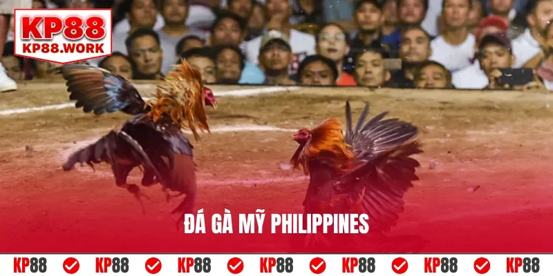 đá gà mỹ philippines