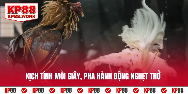 Kịch tính mỗi giây, pha hành động nghẹt thở