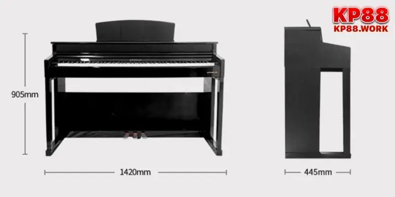 Ai phù hợp với model đàn KP-88 này?