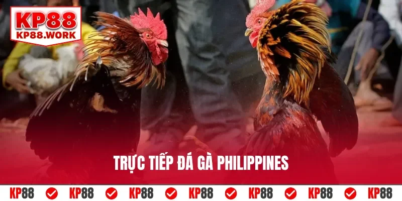 trực tiếp đá gà philippines