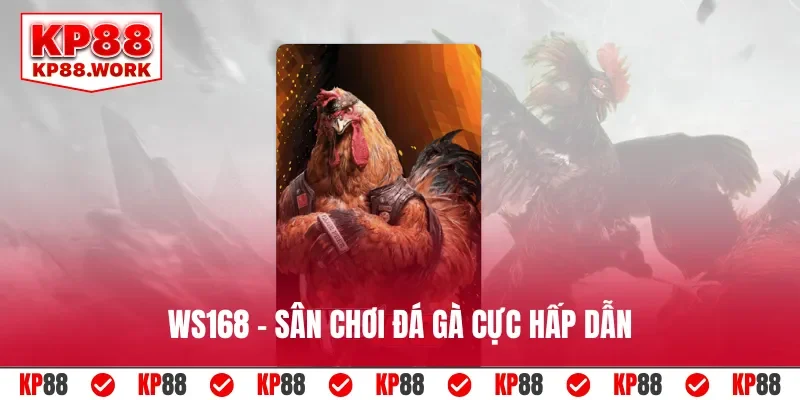 WS168 - Sân chơi đá gà cực hấp dẫn