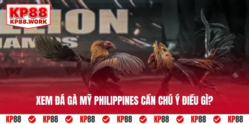 Xem đá gà Mỹ Philippines cần chú ý điều gì?