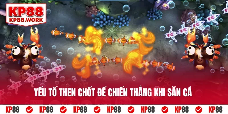 Yếu tố then chốt để chiến thắng khi săn cá